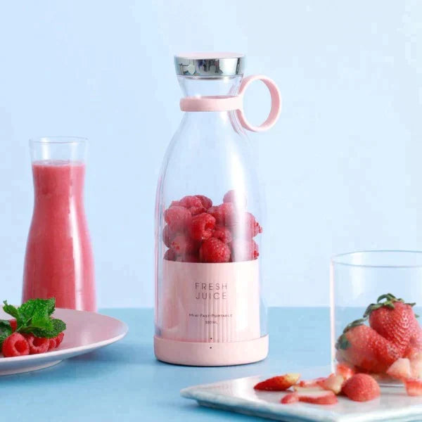 Portable juicer blender